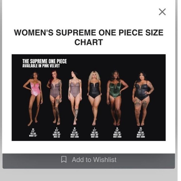 NWOT  DIXXON WOMEN'S SUPREME ONE PIECE SWIMSUIT - SILVER SPARKLE, size XS - Picture 13 of 13